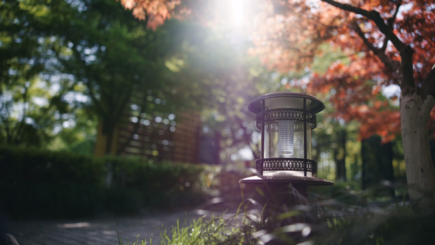 写了两个随机小姐姐视频的Api代码