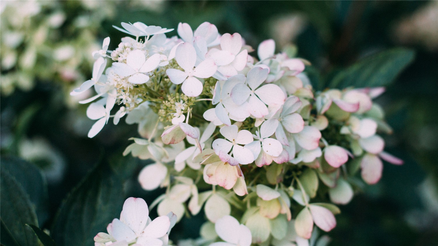 搭建个人防盗链图床