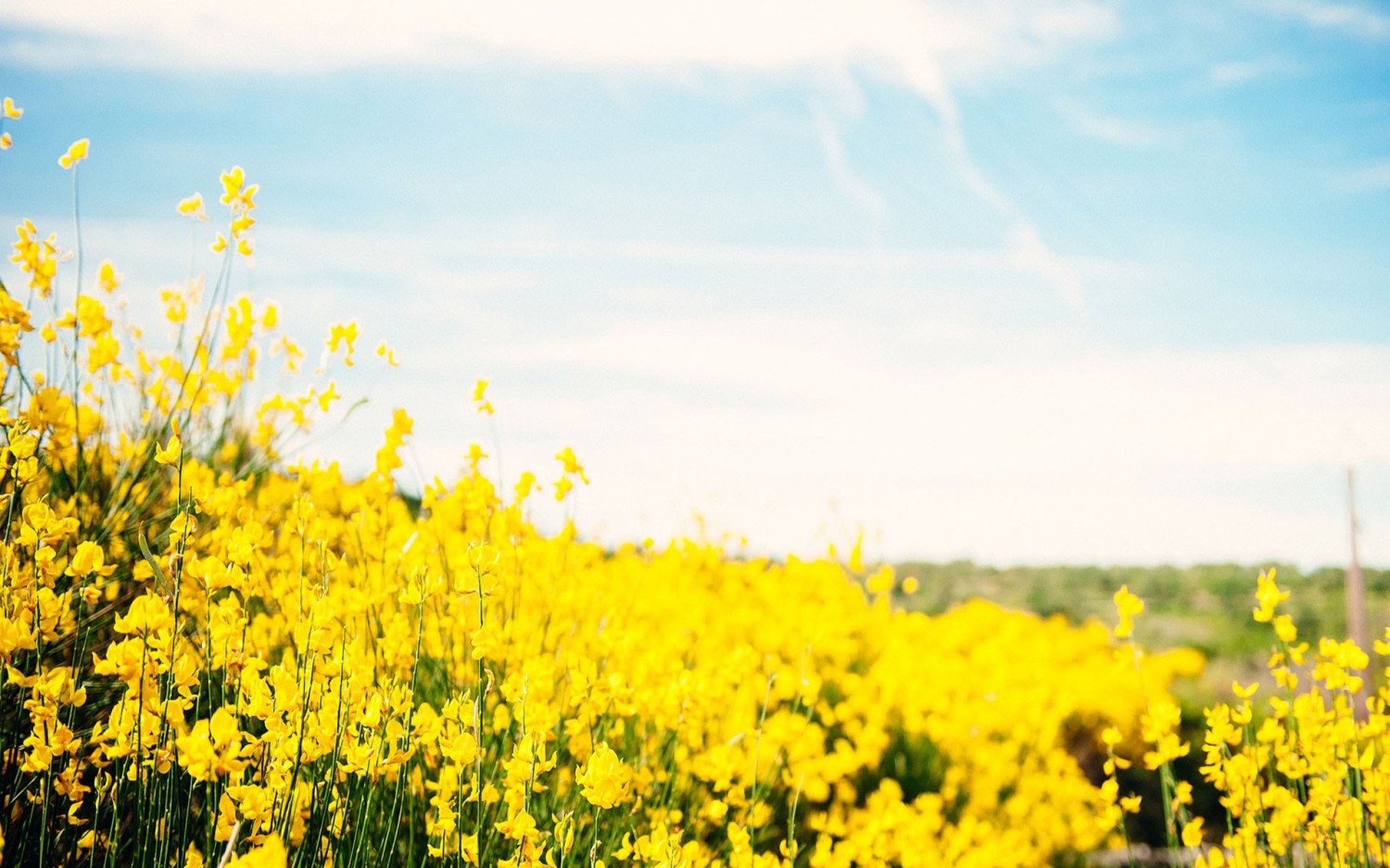 搭建个人防盗链图床