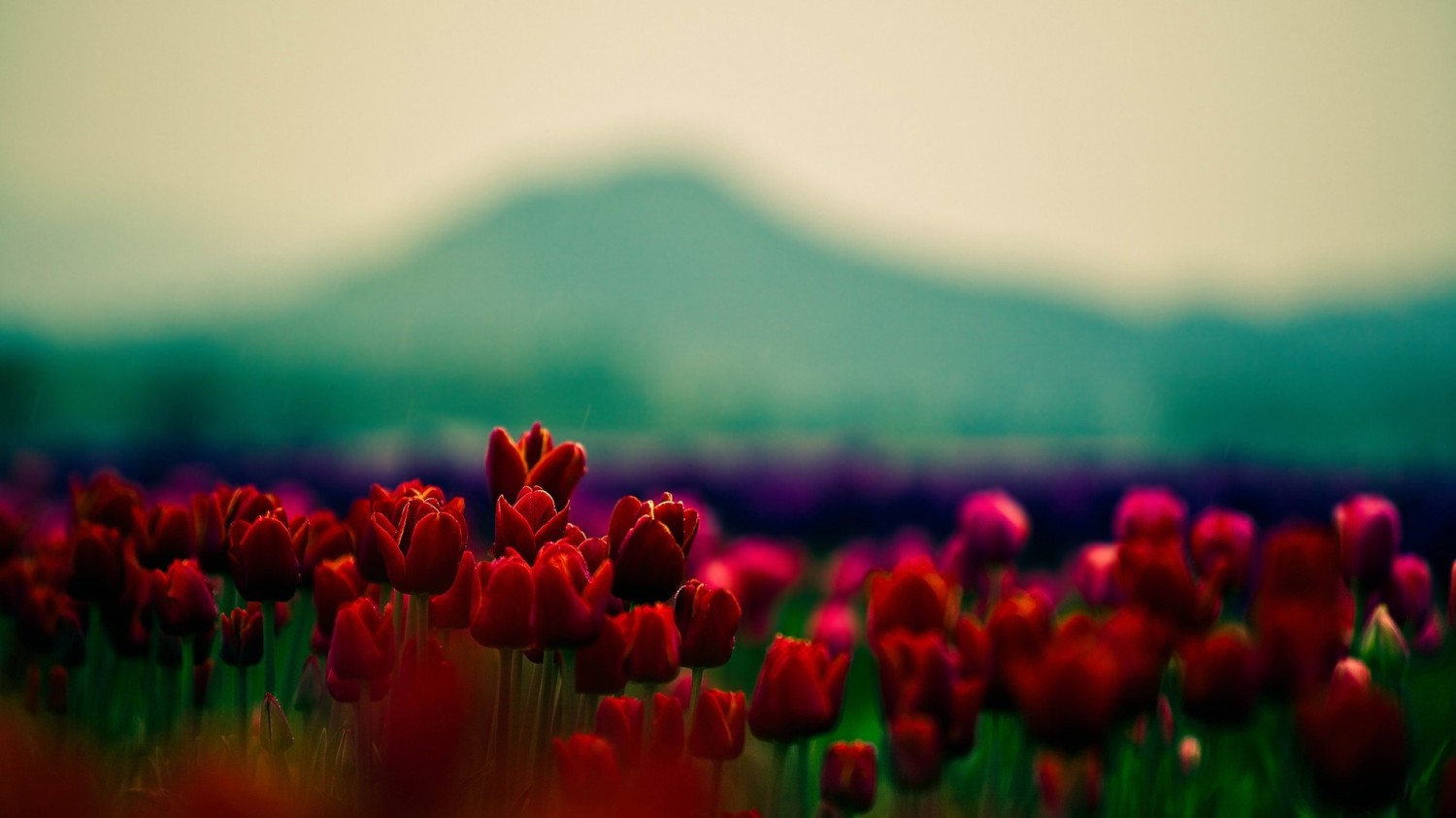 HTML5版本3D电子相册