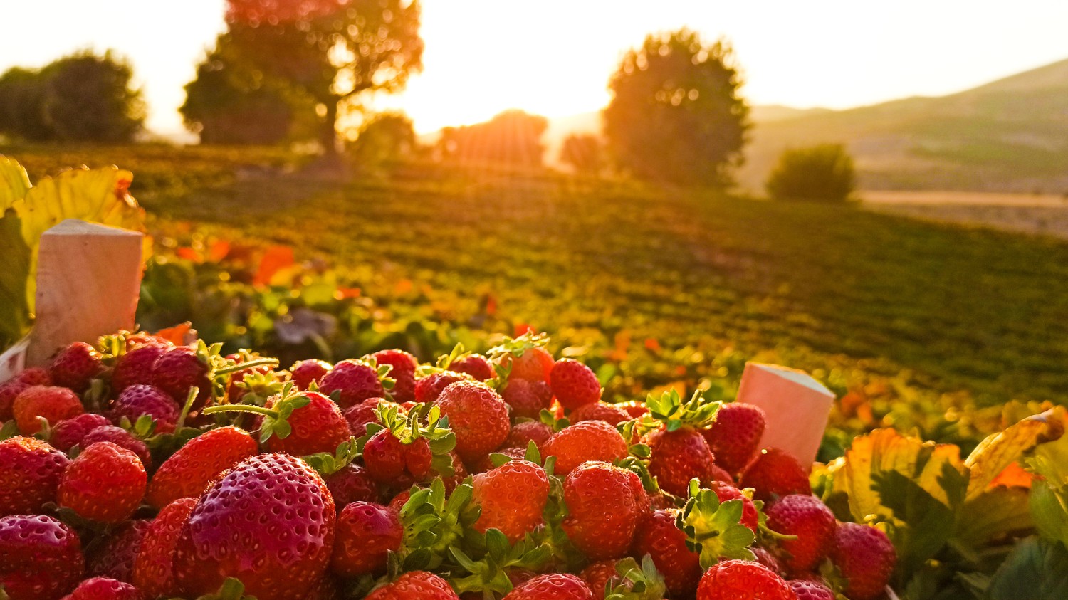 搭建个人防盗链图床