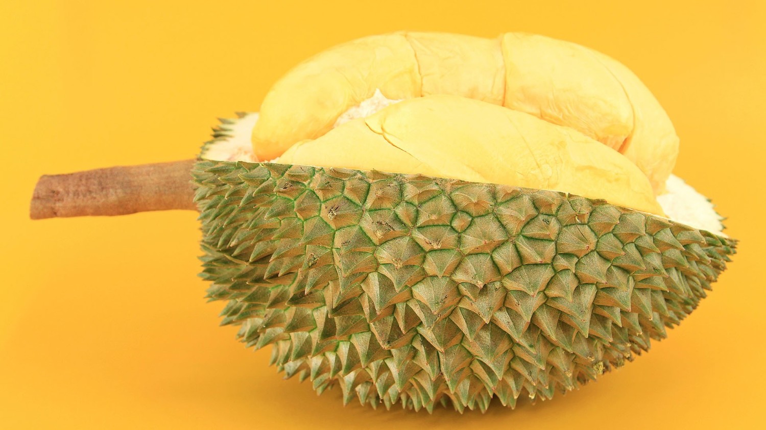 获得文件夹 PATH 列表