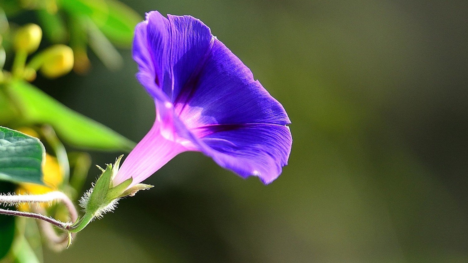 搭建个人防盗链图床