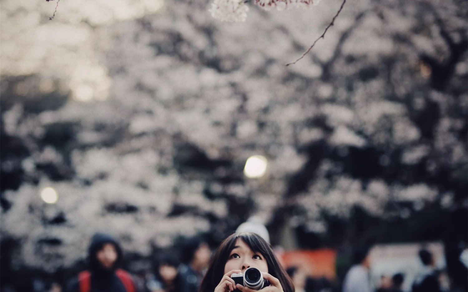 本地搭建网站IP访问统计