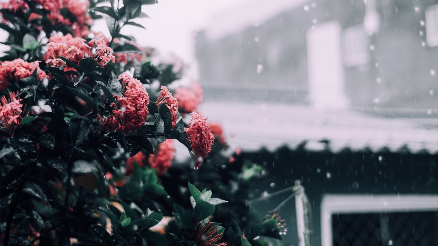 Win重置网络配置更新缓存方法