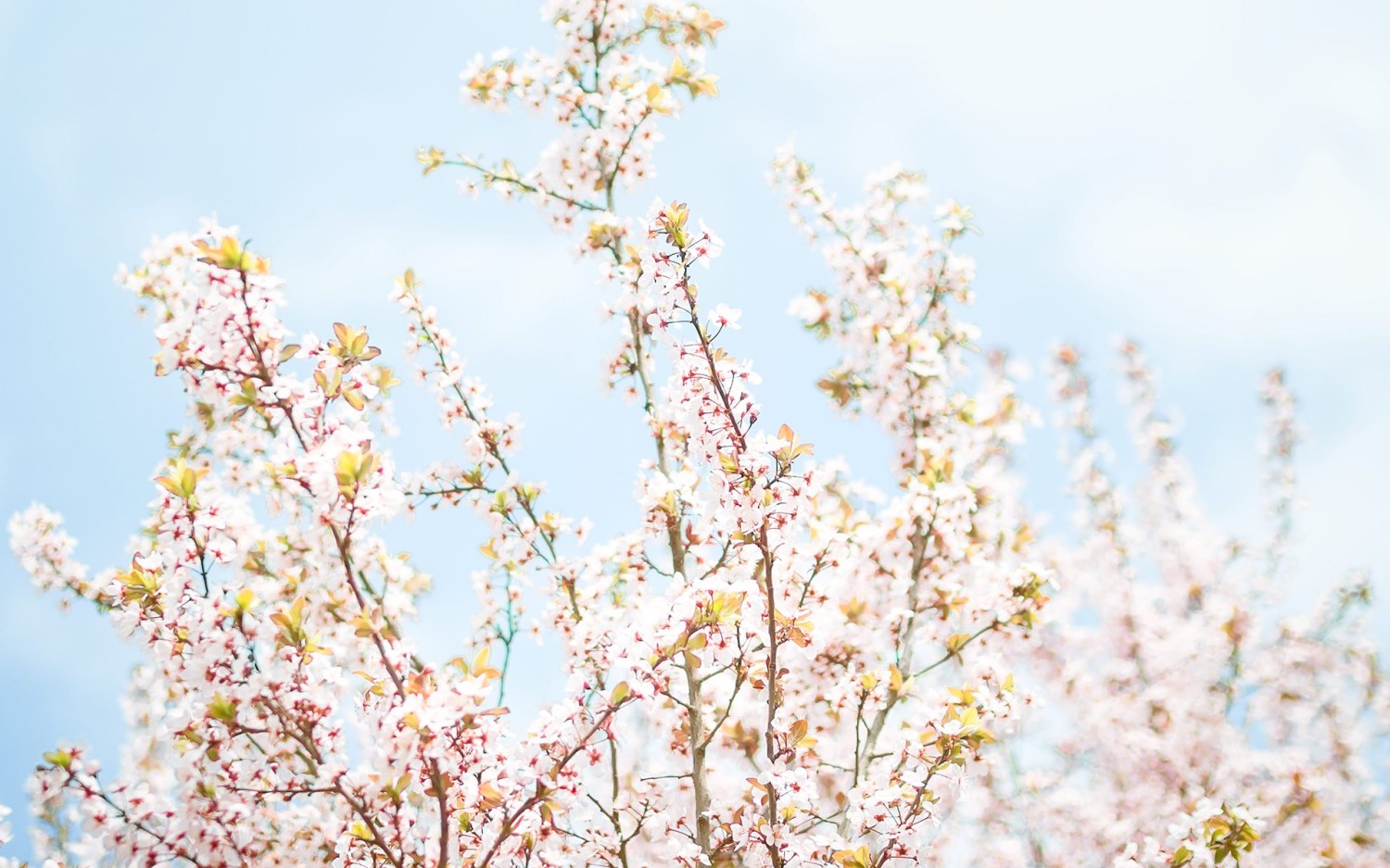 本地搭建网站IP访问统计