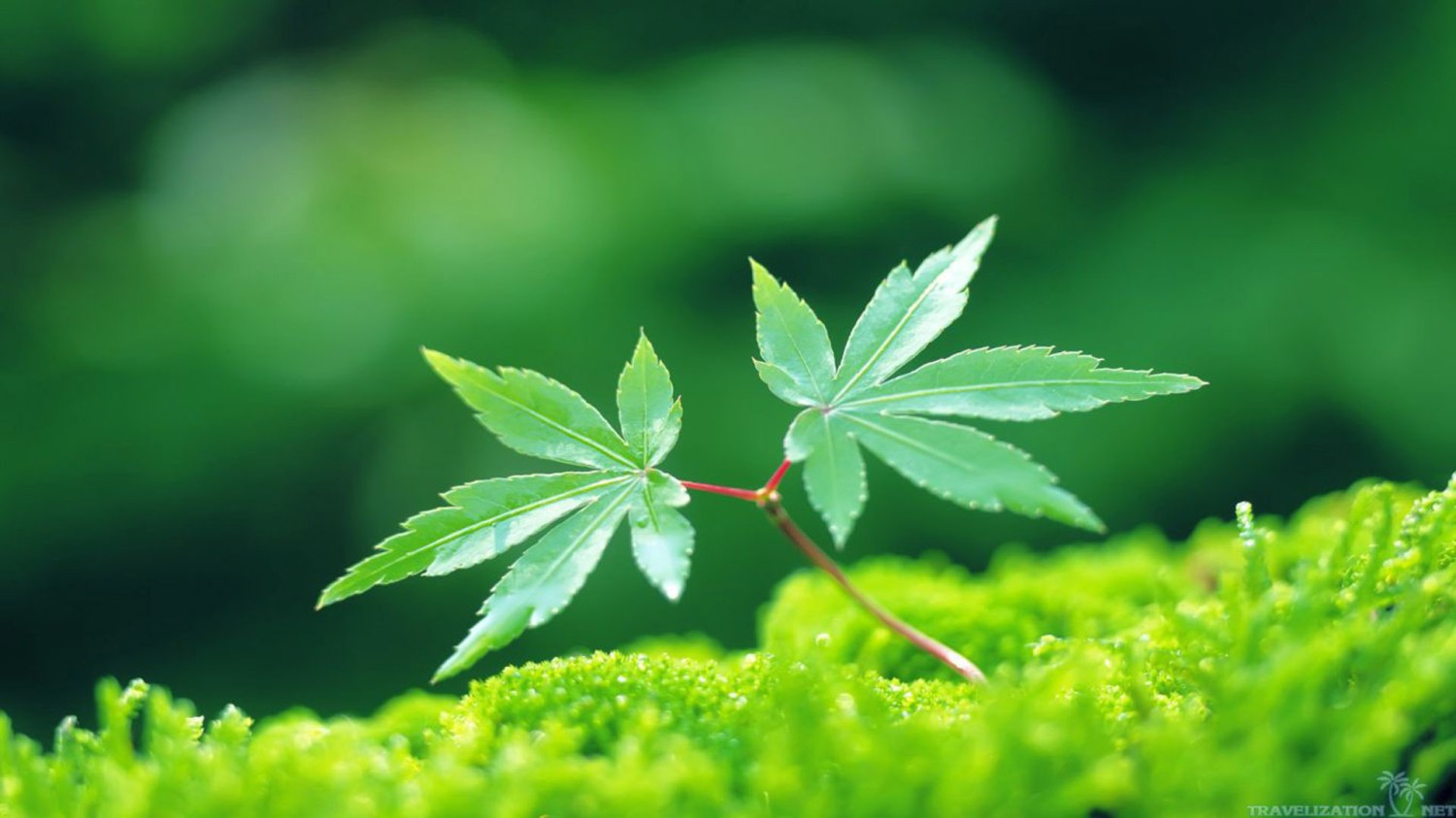 简易文件夹手动加密