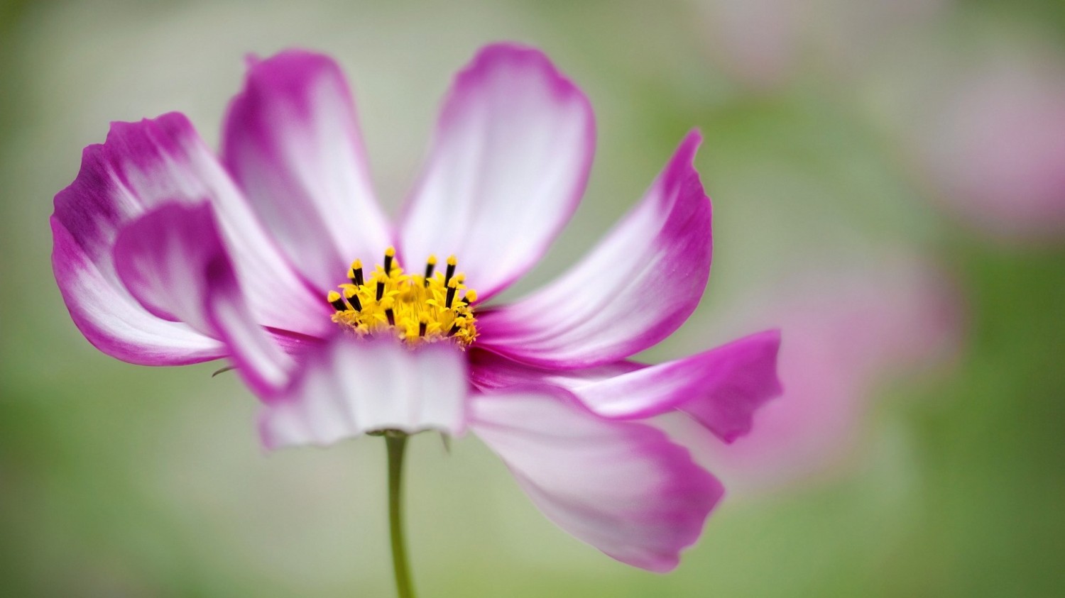 使用cmd命令查、修、删、文件 目录