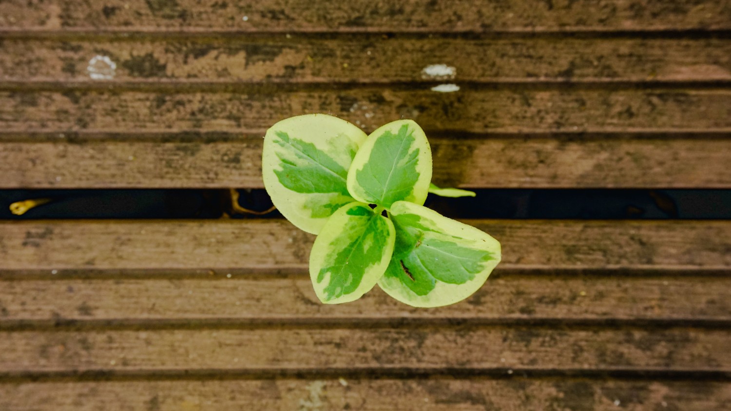 vericut9.0.1安装教程