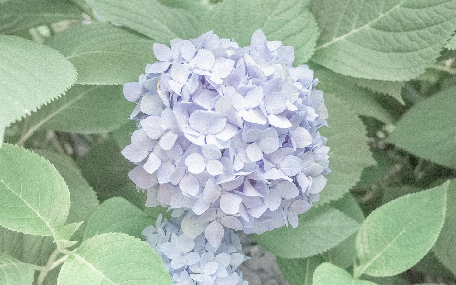 信息茧房：网络时代的迷思