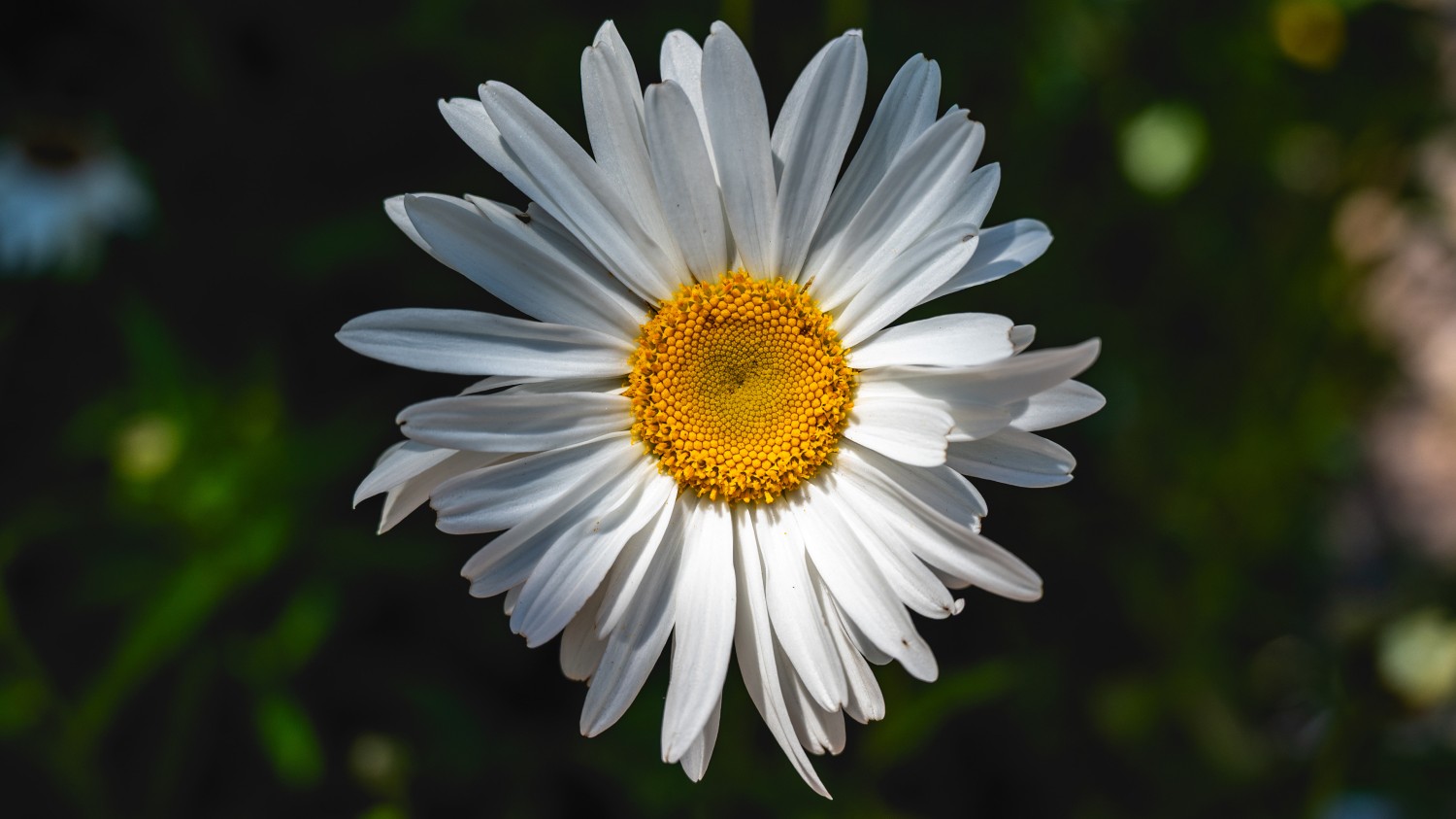 windows共享修复之sbm协议