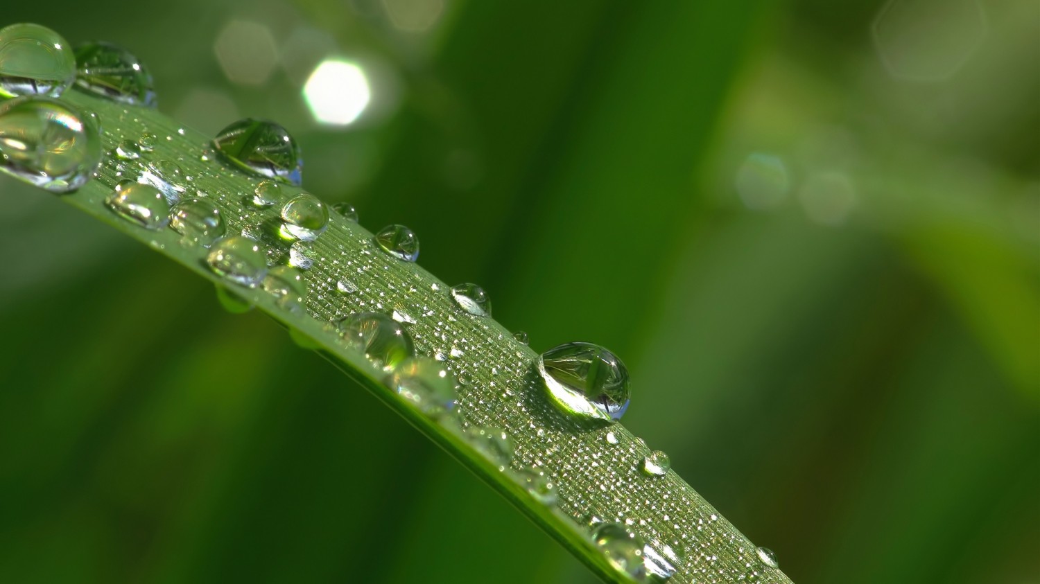 给网页地址生成一个二维码