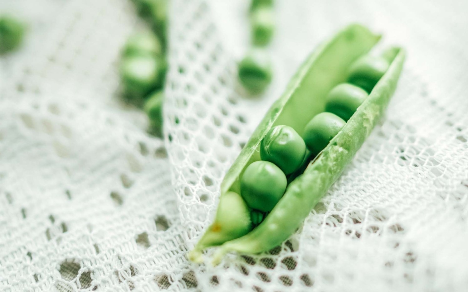 写了两个随机小姐姐视频的Api代码