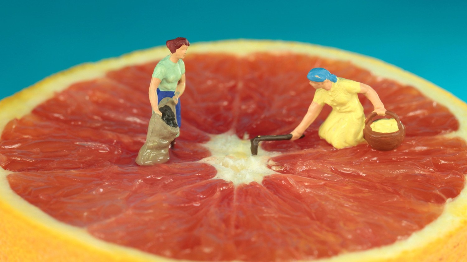 本地搭建网站IP访问统计