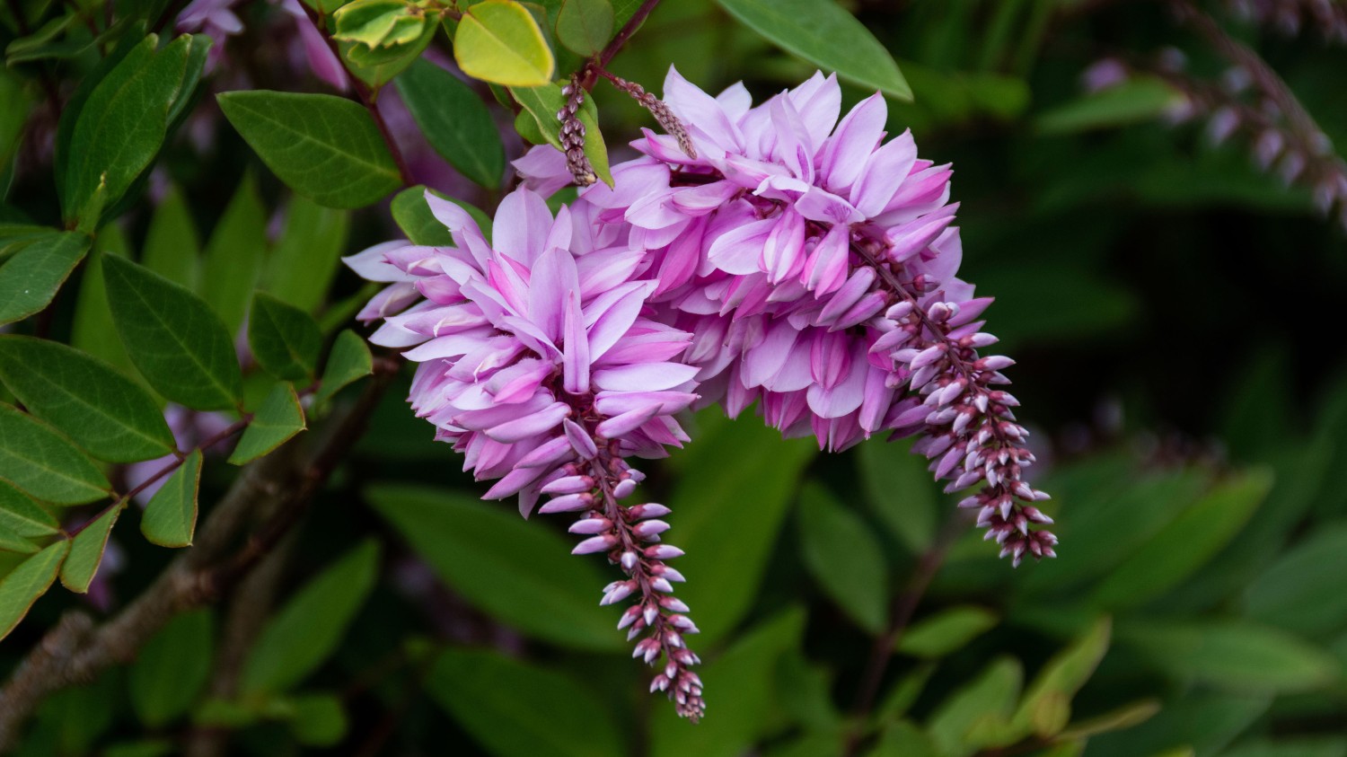 开源简易站点统计2.0