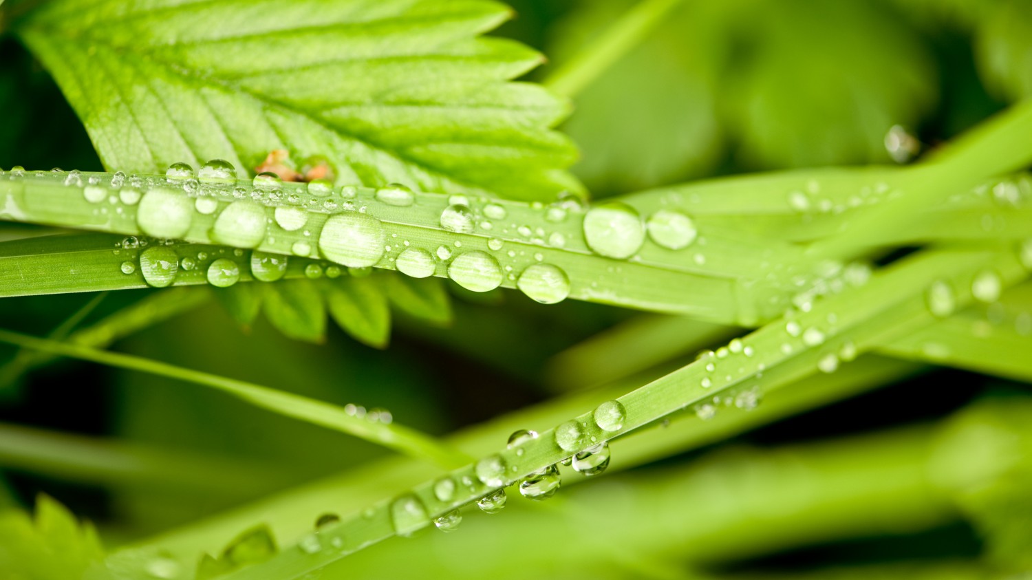 HTML5版本3D电子相册