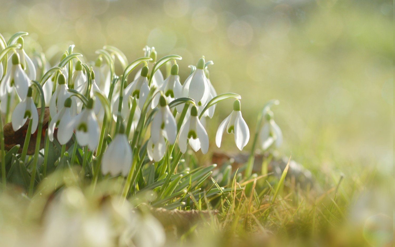 HTML5版本3D电子相册