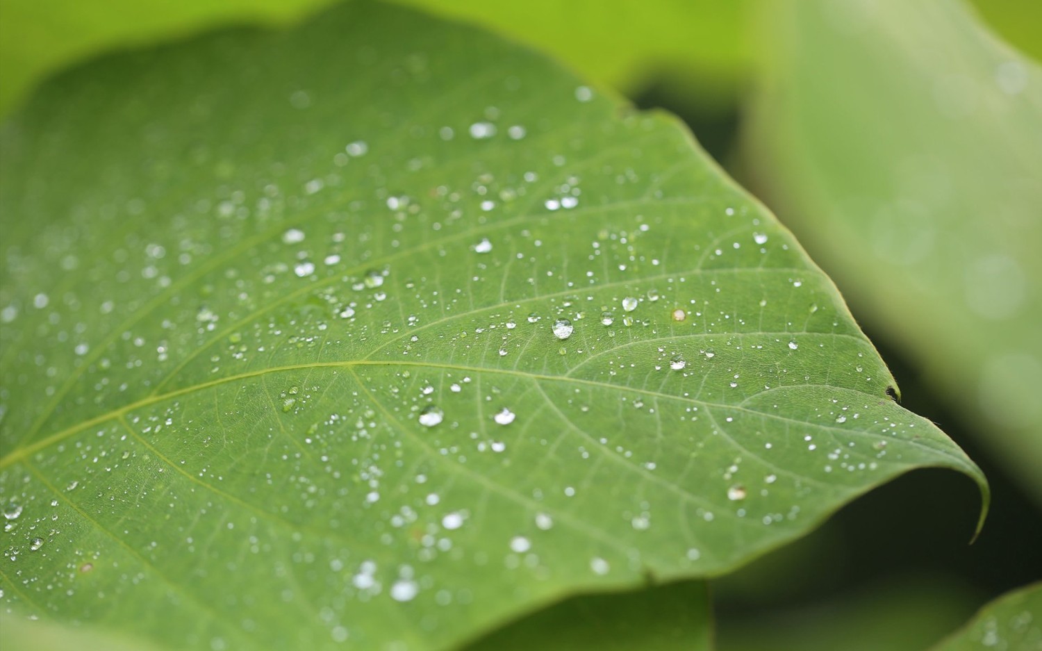 使用cmd命令查、修、删、文件 目录