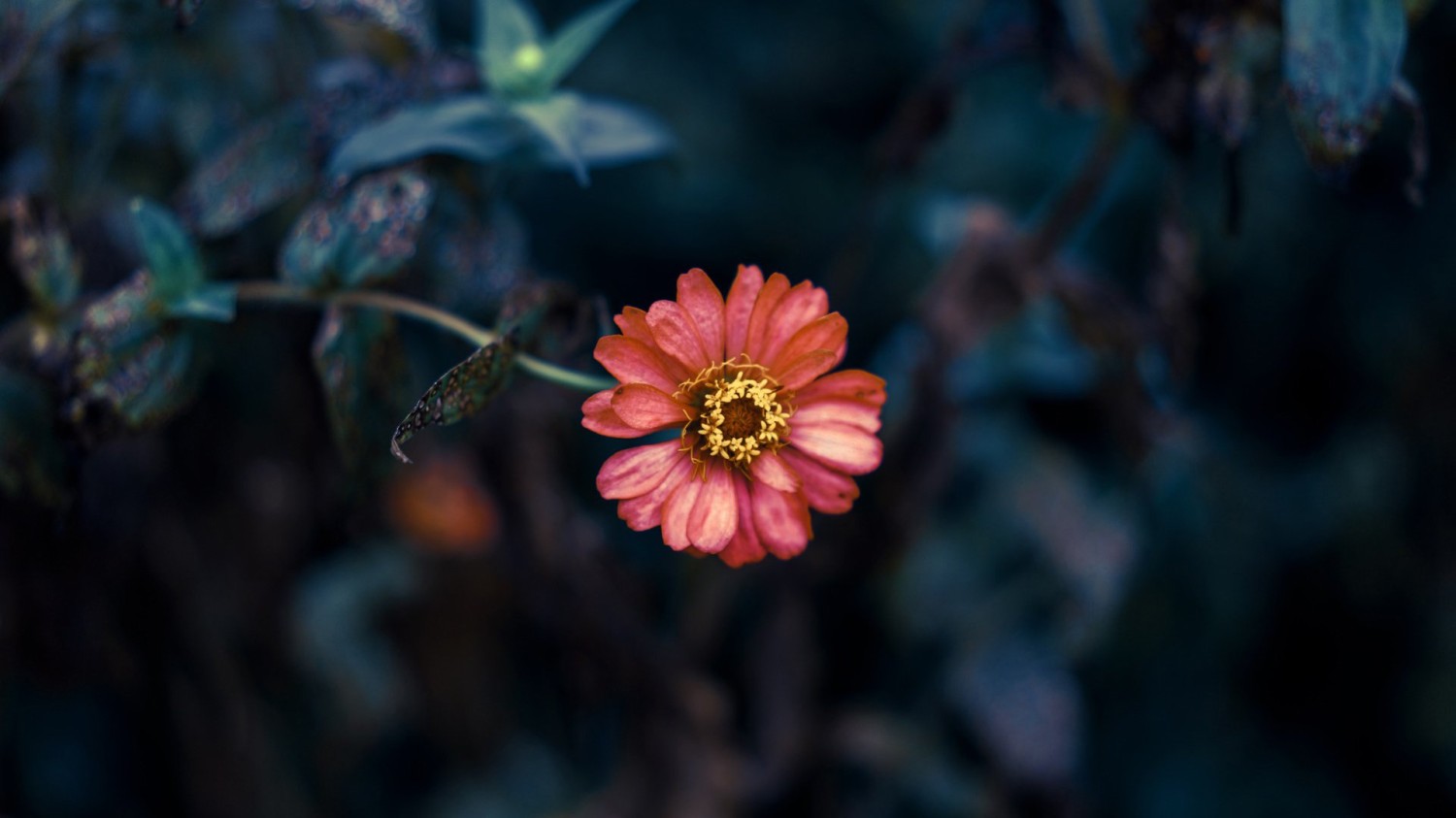 搭建个人防盗链图床