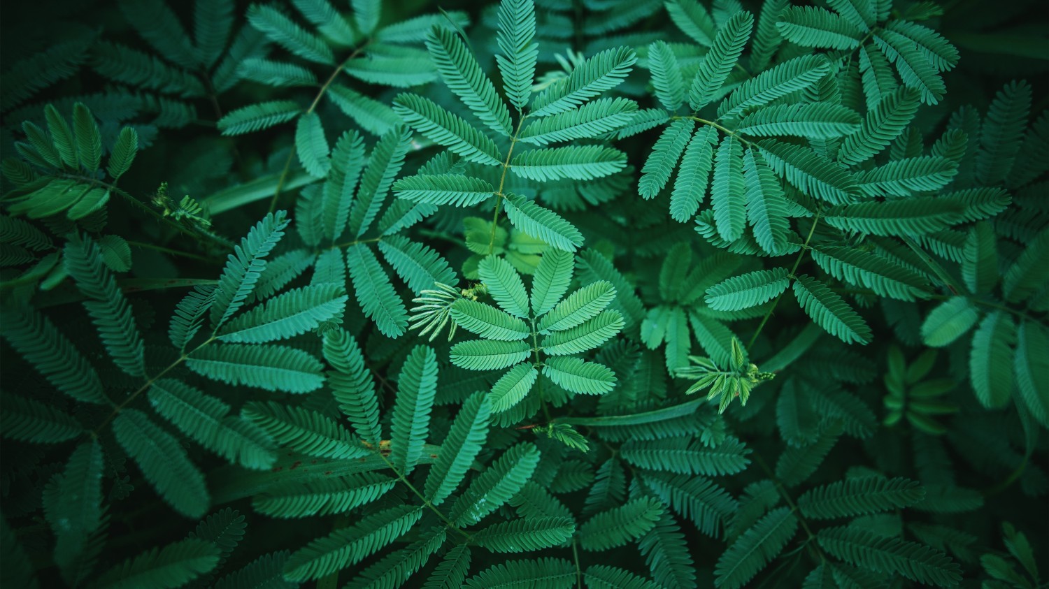 群晖常见第三方套件源
