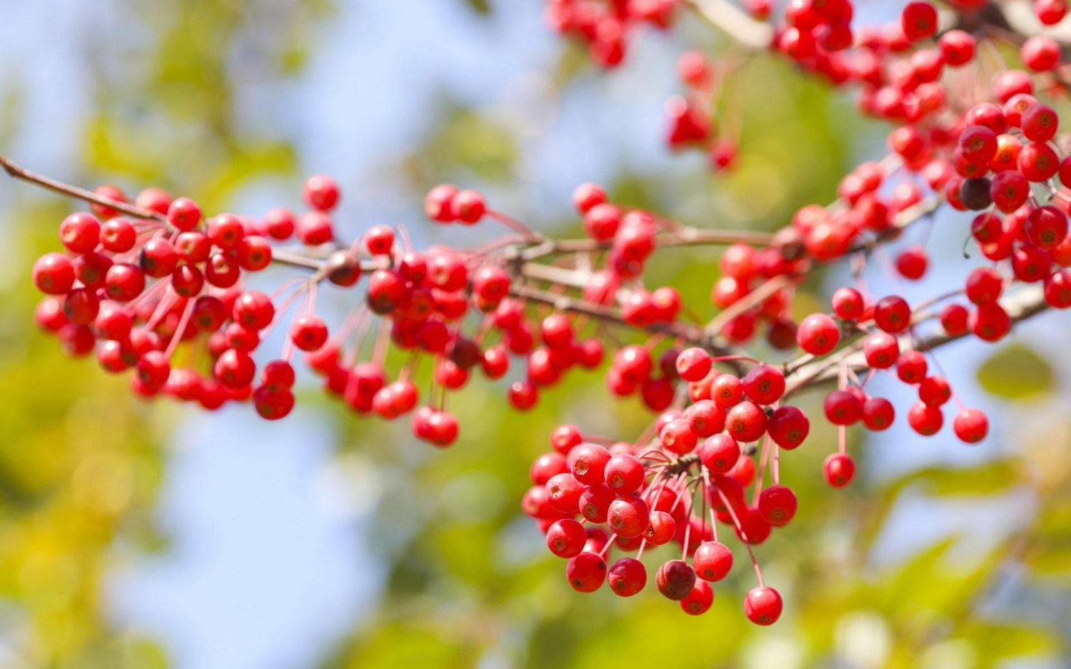 搭建个人防盗链图床