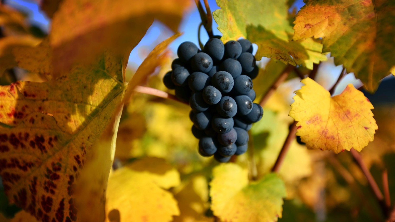 VoluMill自下而上开粗设置方法