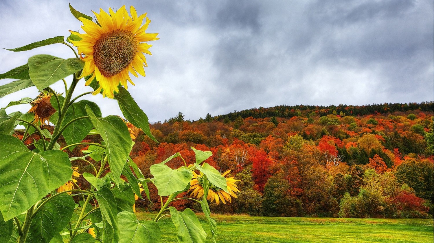 开源简易站点统计2.0