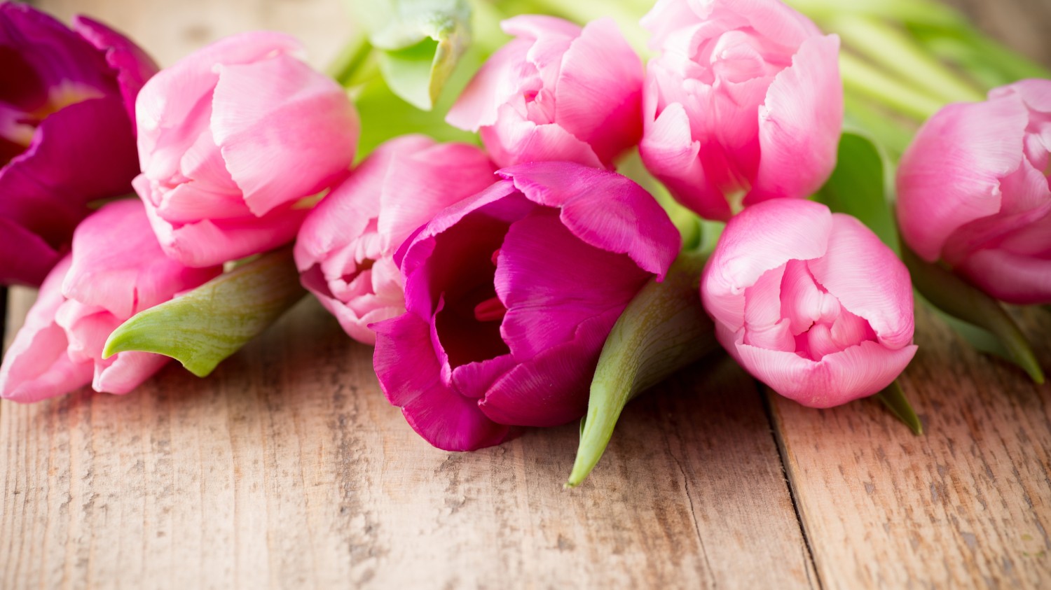 搭建自己的 Gravatar+QQ图像 镜像站