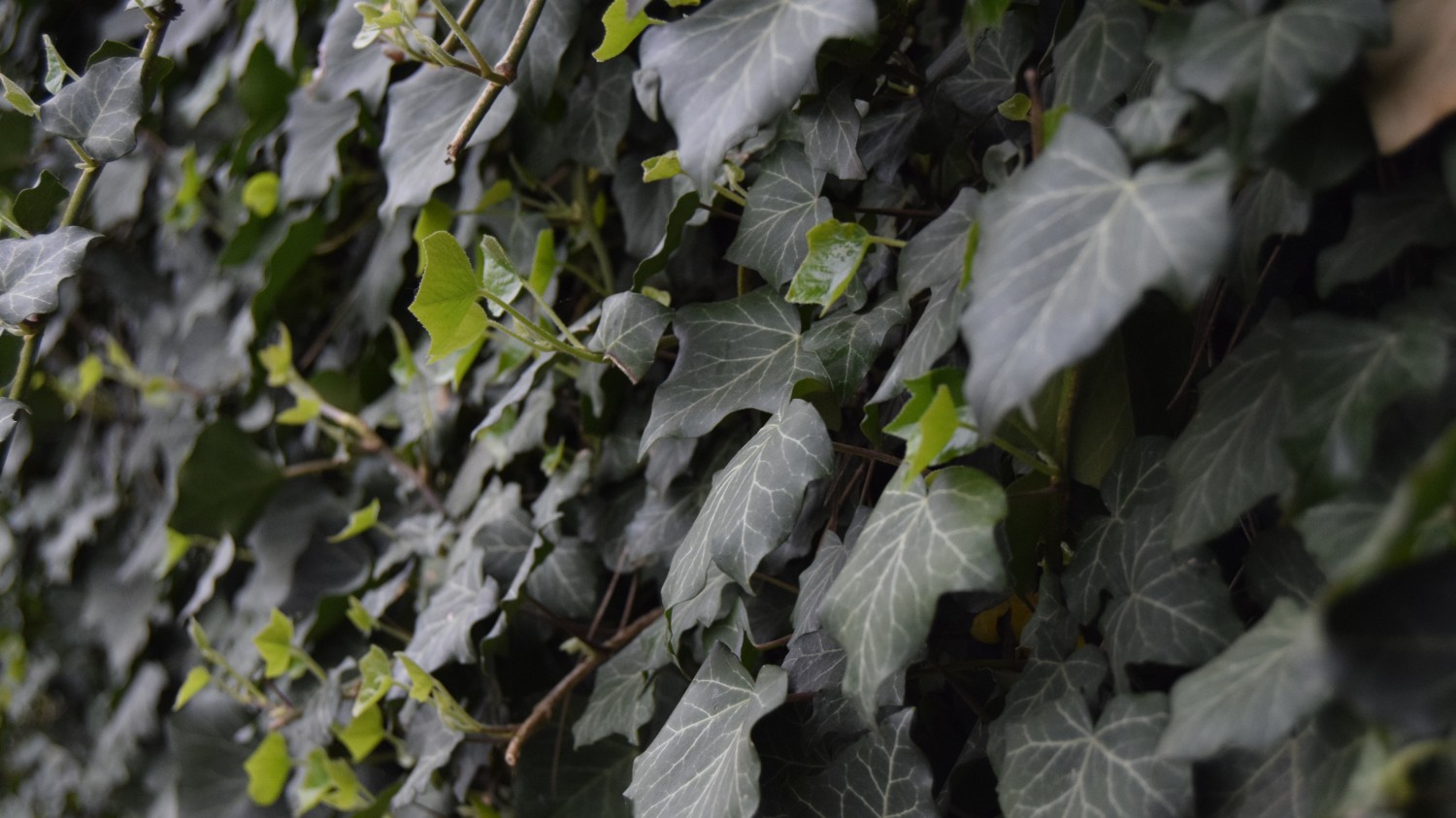 HTML5版本3D电子相册