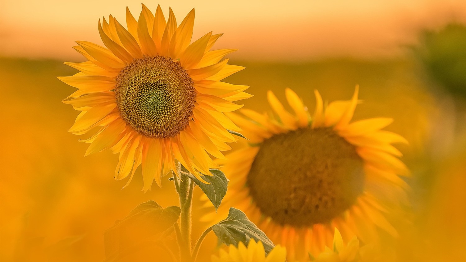 搭建个人防盗链图床