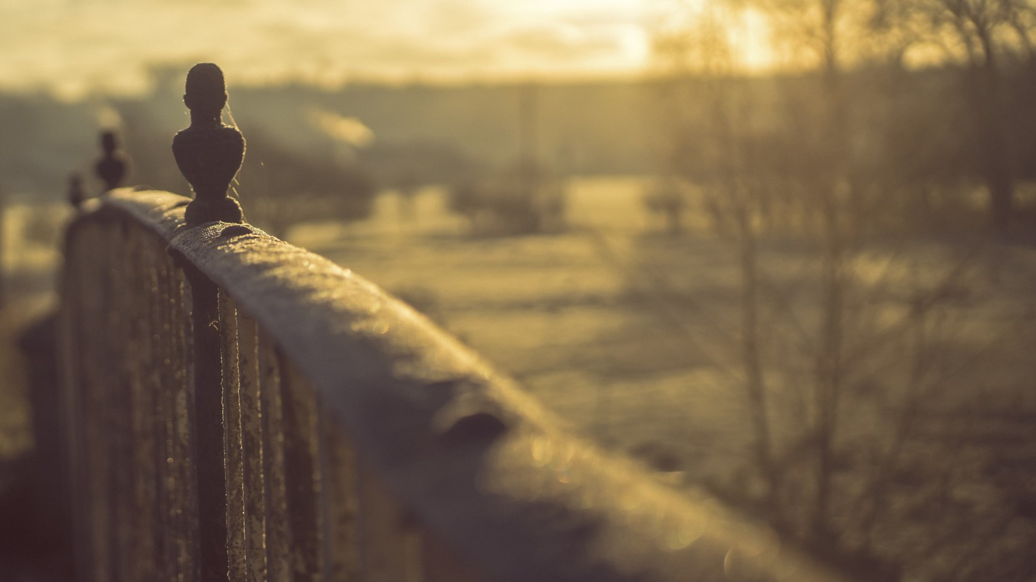 写了两个随机小姐姐视频的Api代码