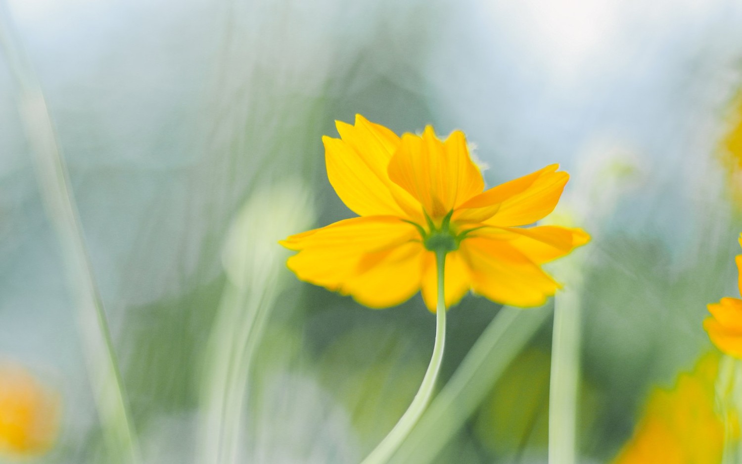 搭建个人防盗链图床