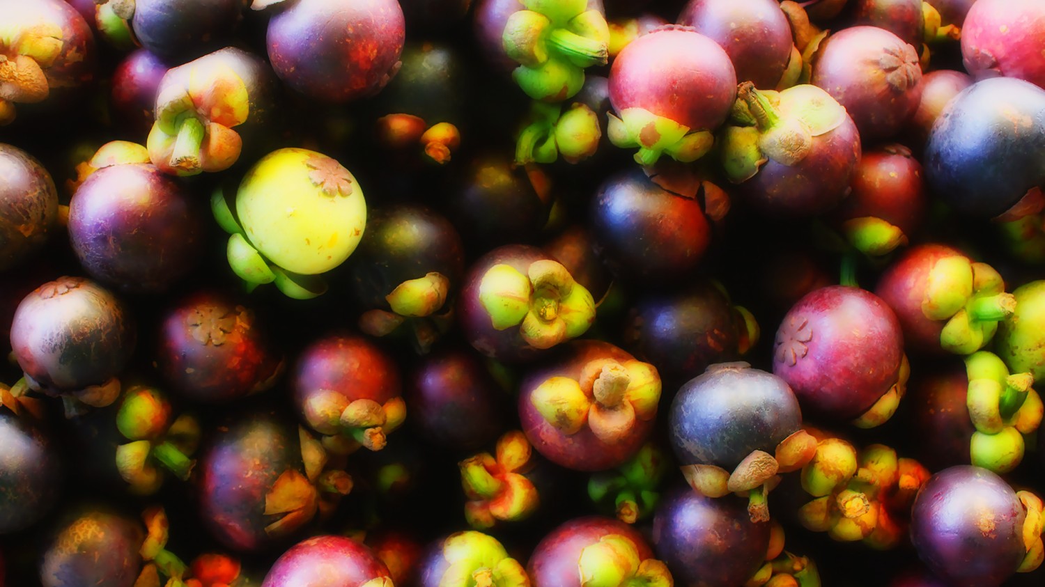 开源简易站点统计2.0