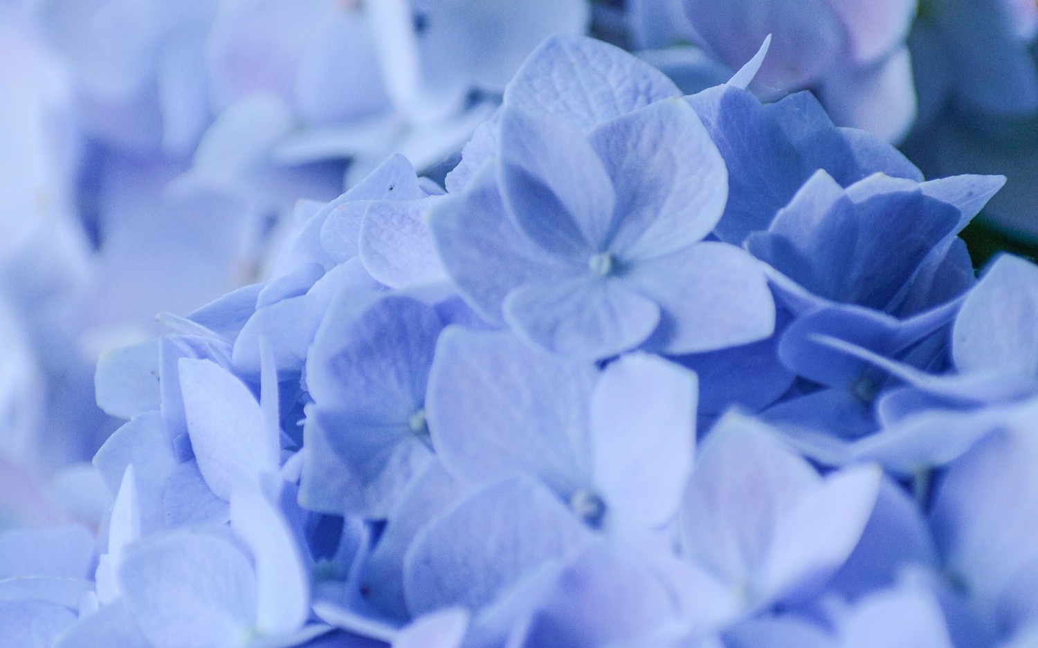 F12在调试程序中暂停 解决方法