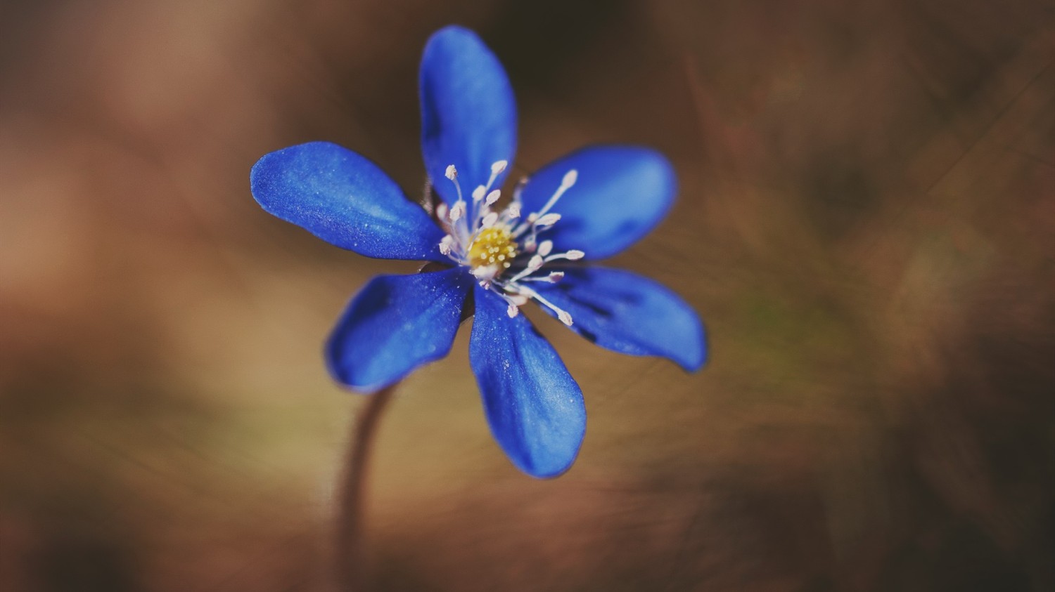 搭建个人防盗链图床