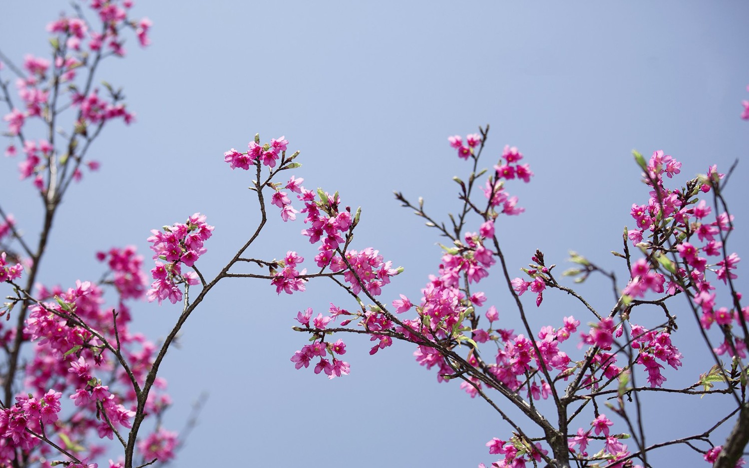 本地搭建网站IP访问统计