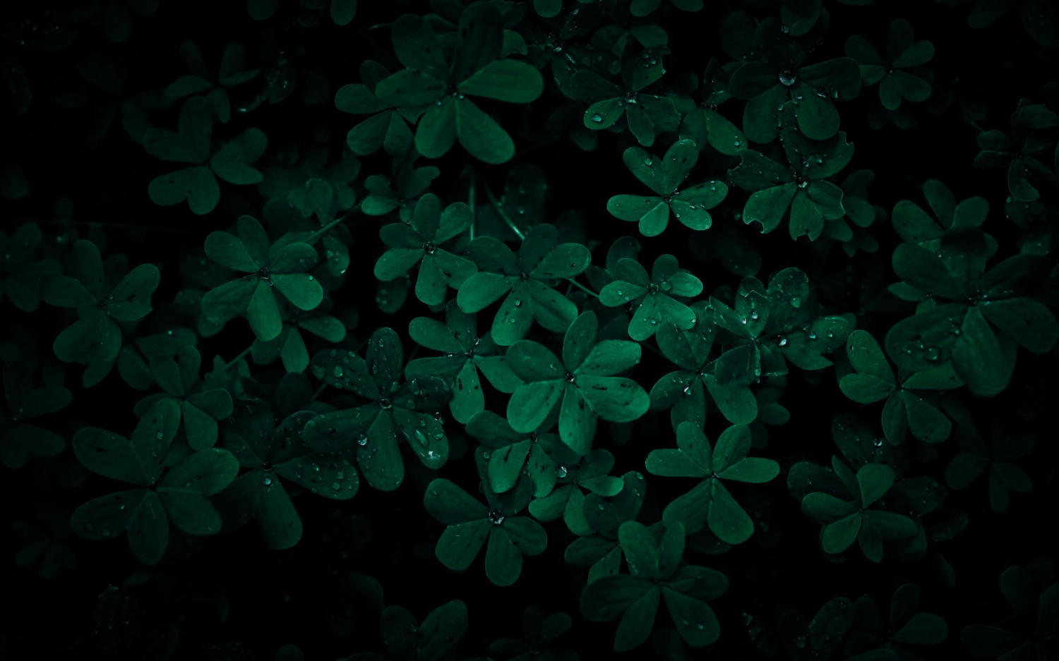 本地搭建网站IP访问统计