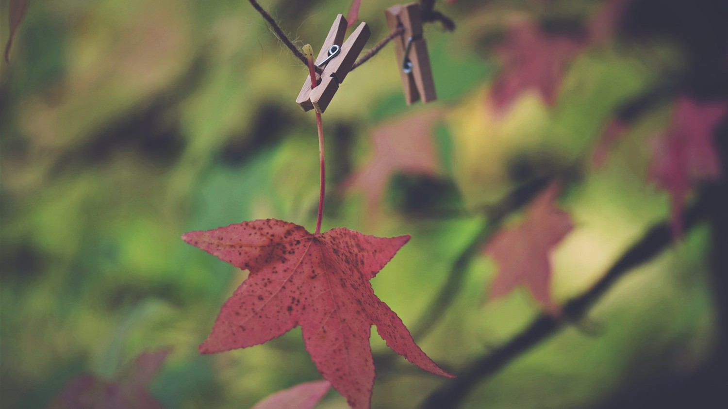 本地搭建网站IP访问统计