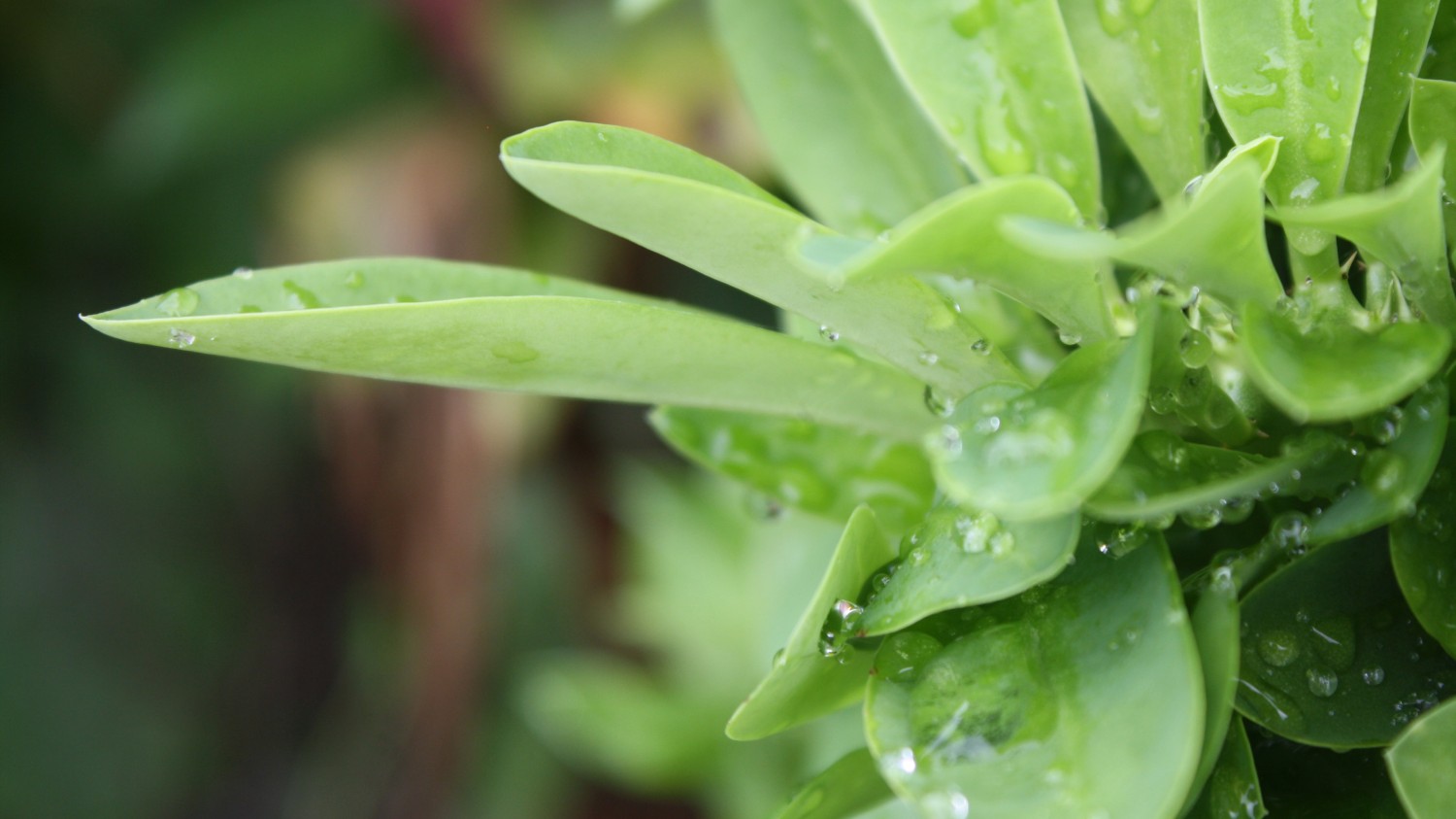 搭建个人防盗链图床