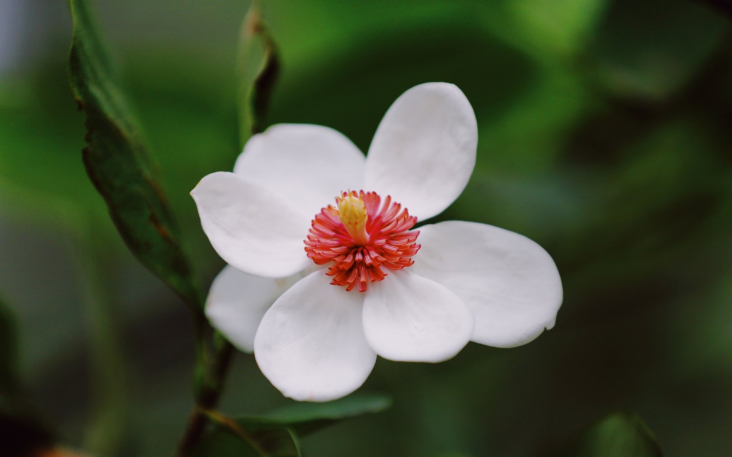 本地搭建网站IP访问统计