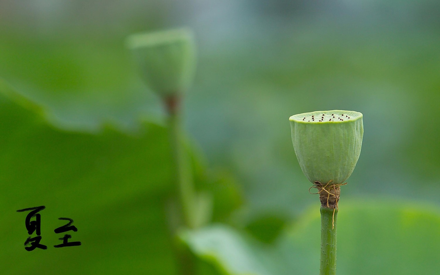写了一个简易的后台框架模板