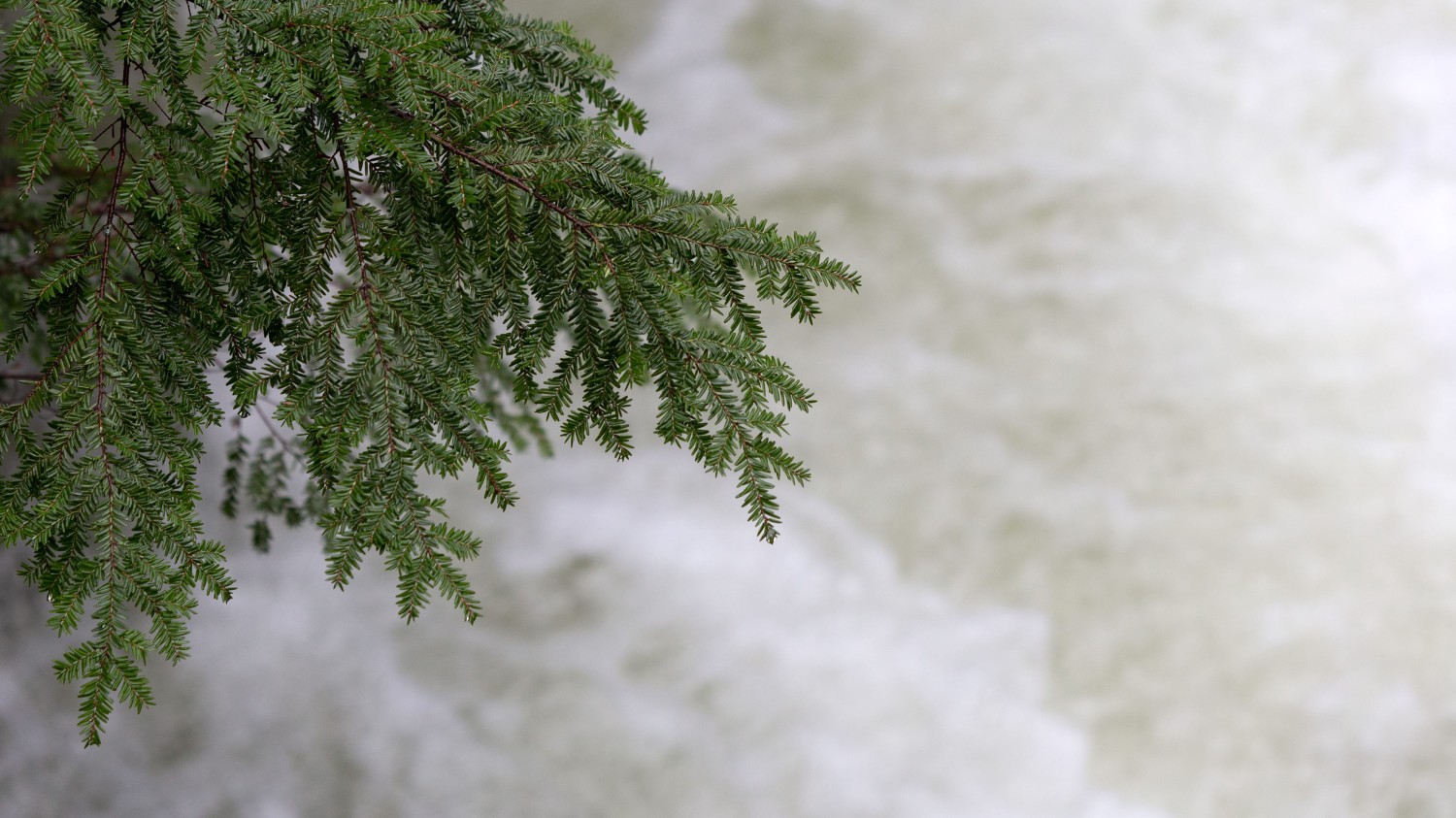 Windows Server 设置使用照片查看器查看图片的设置方法