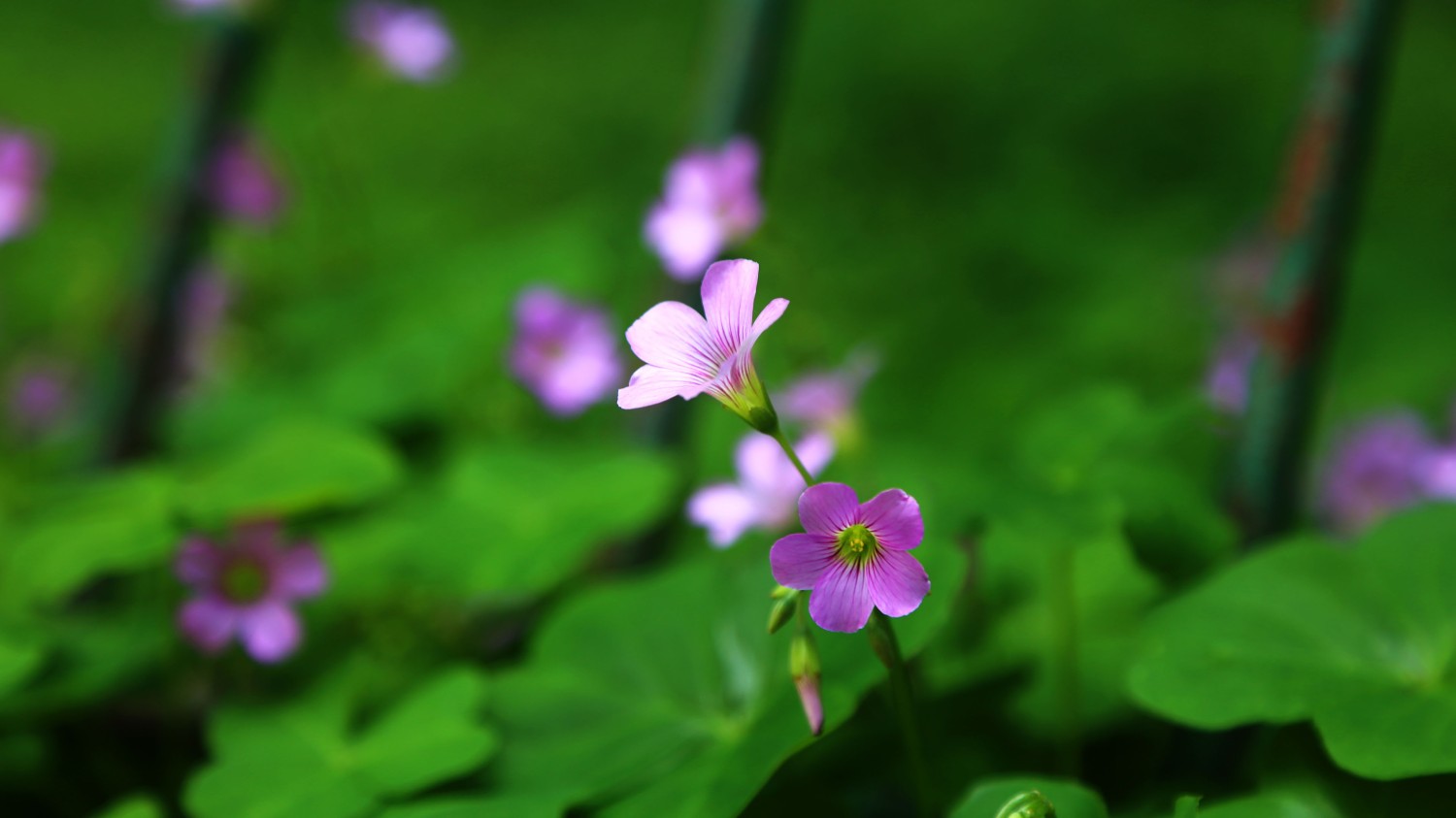 信息茧房：网络时代的迷思