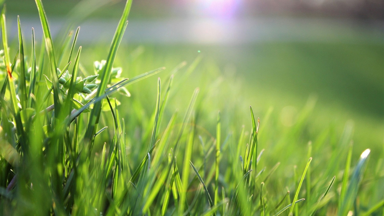 本地搭建网站IP访问统计