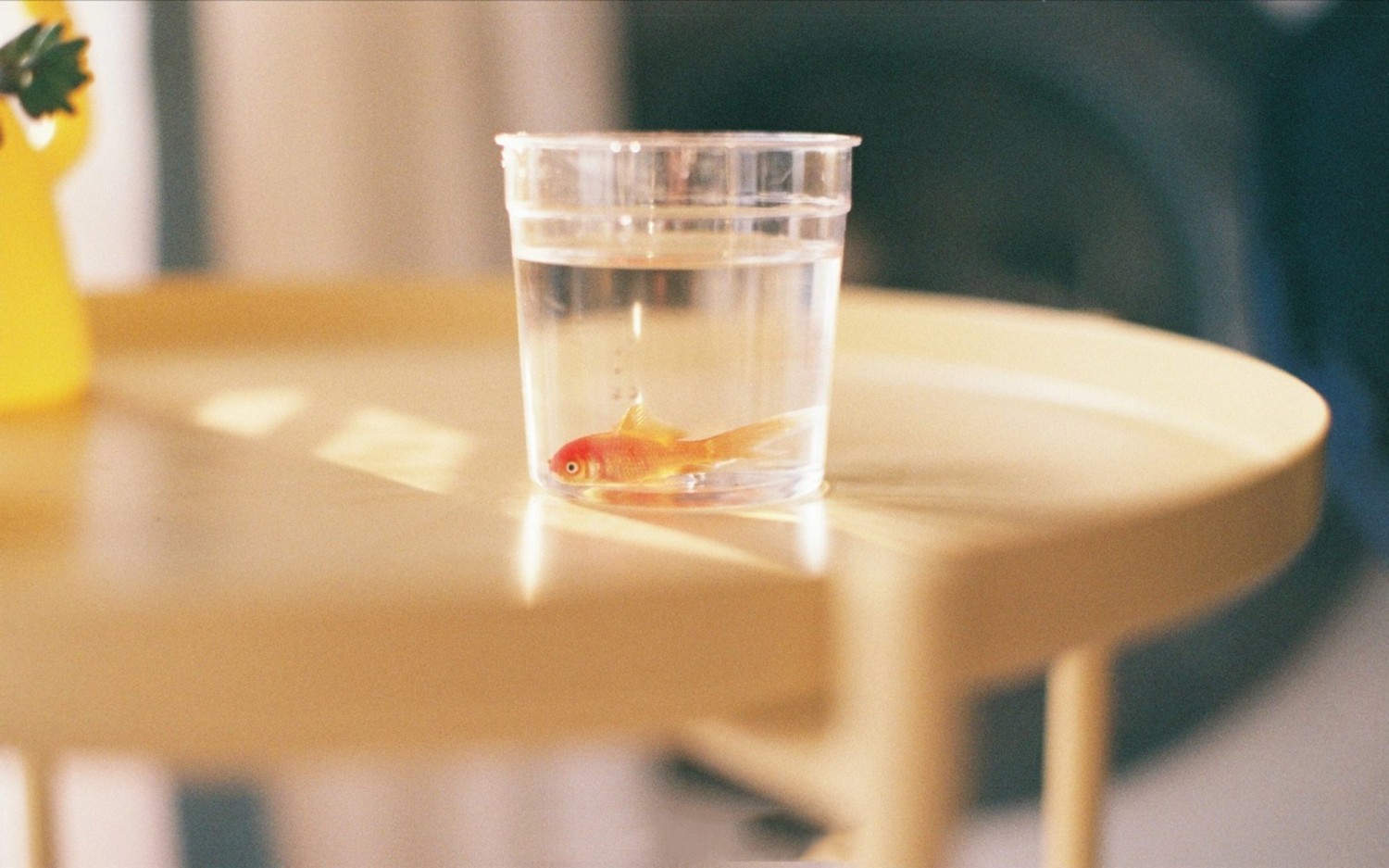 本地搭建网站IP访问统计