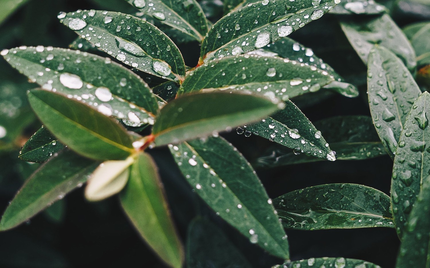 搭建个人防盗链图床