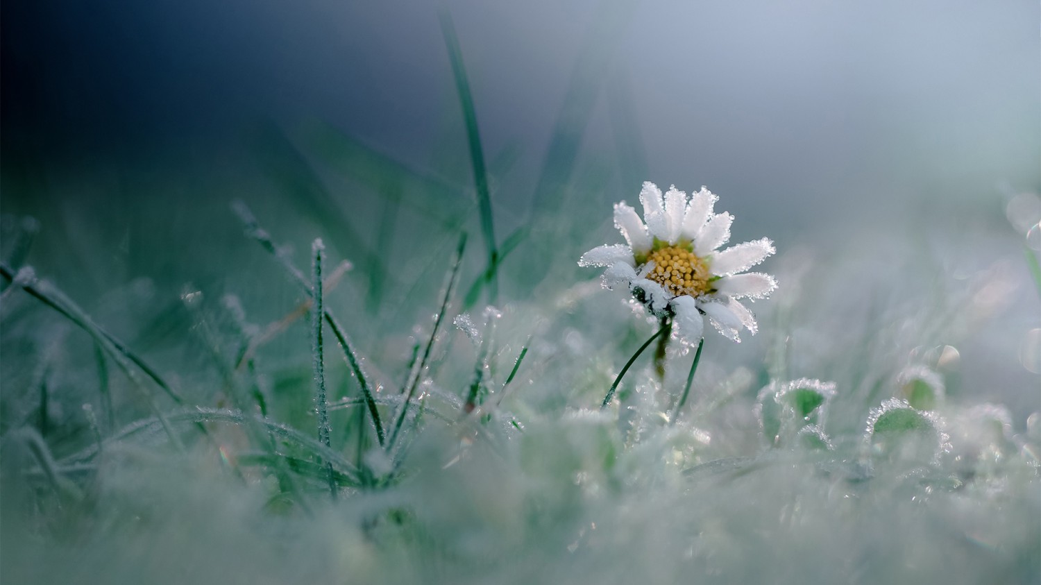 开源简易站点统计2.0