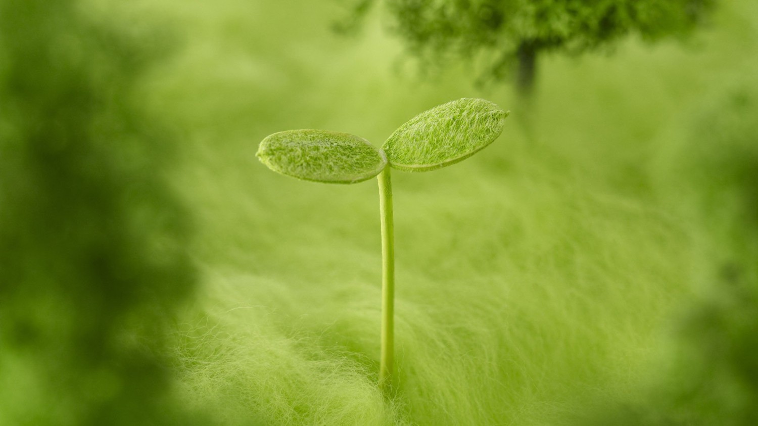 windows共享修复之sbm协议