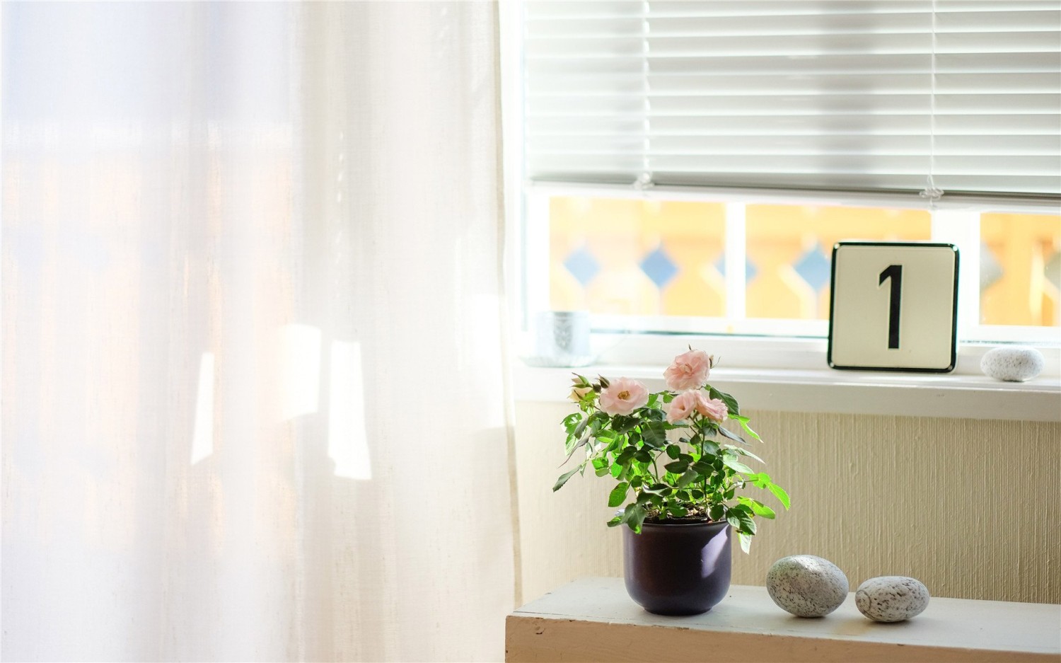 新手该如何使用GPT生成适合自己的代码