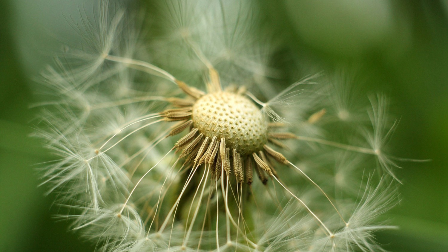 开源分享一个基于Php写的短网址小程序